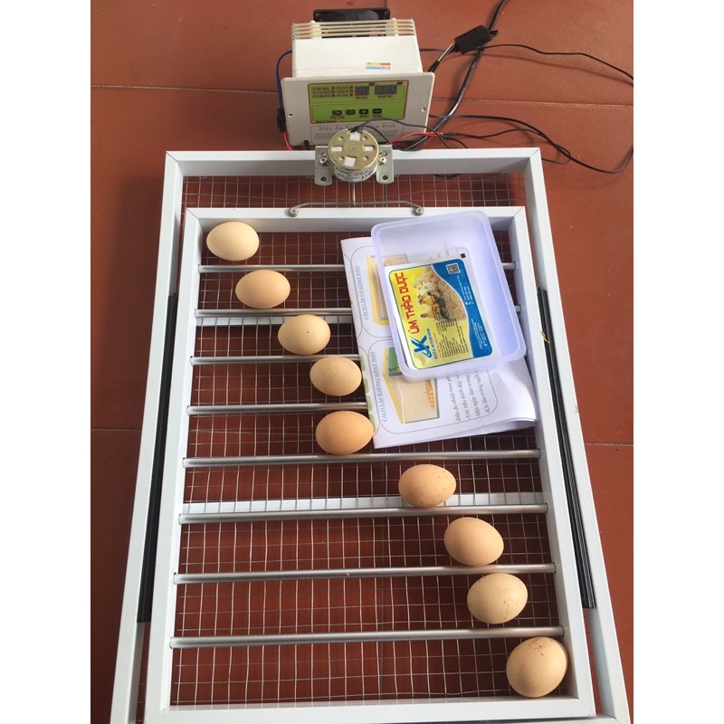 Bộ Máy Ấp Trứng Cabon Trường Sa VN- 2023 + Khay đảo lăn 60 trứng cao cấp