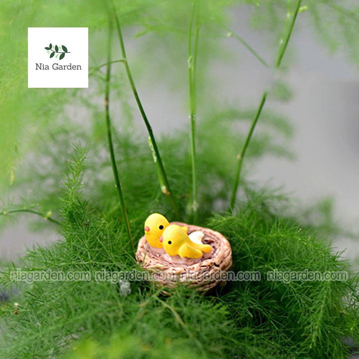 Tiểu cảnh tổ chim trang trí cây cảnh, terrarium, bể cá - PKTC