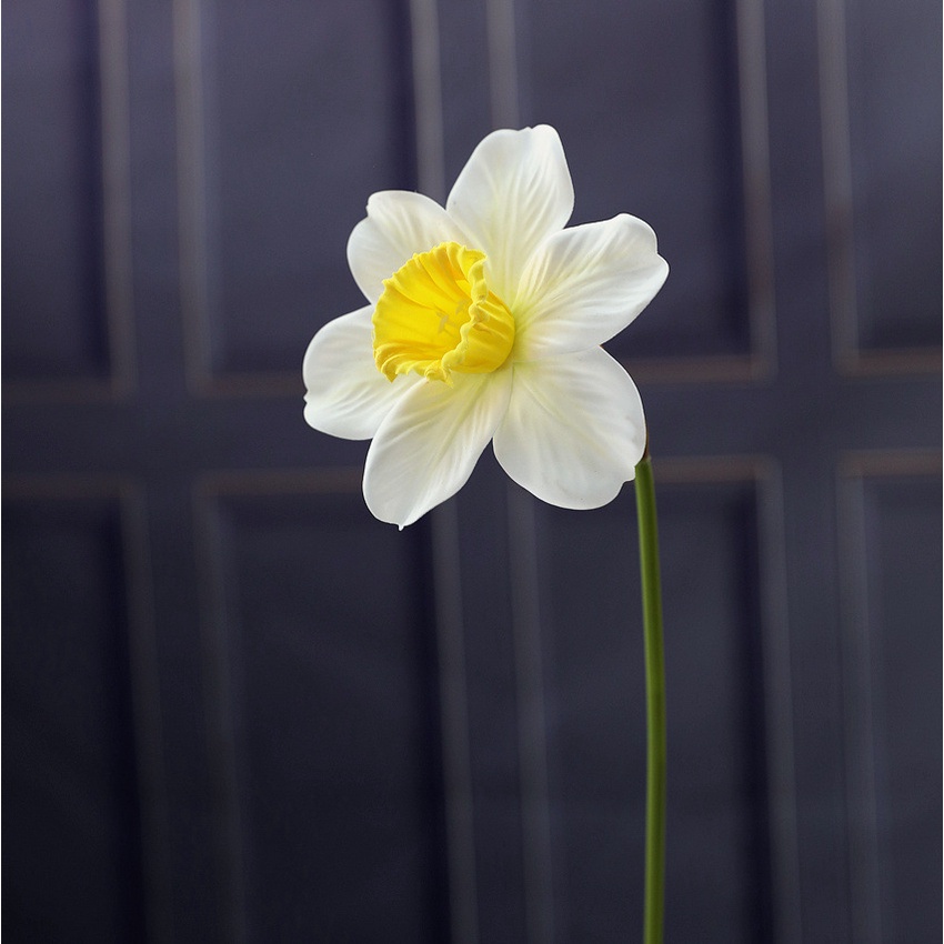 HOA THỦY TIÊN - Hoa Giả giống thật - Decor trang trí