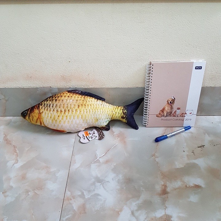 Đồ Chơi Cá Bằng Bông Chạy Bằng Pin