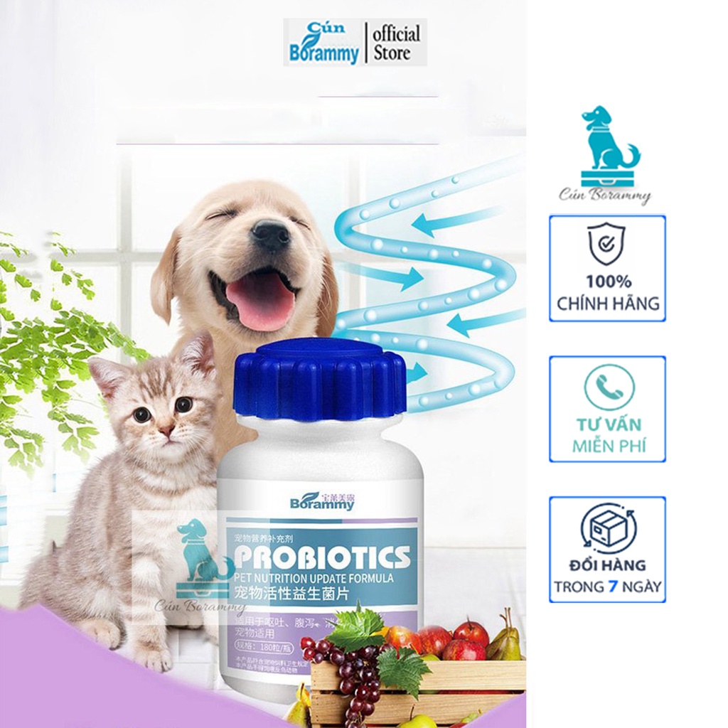 Men tiêu hoá Probiotic cho chó mèo Borammy hỗ trợ đường tiêu hoá, hấp thu dinh dưỡng toàn diện