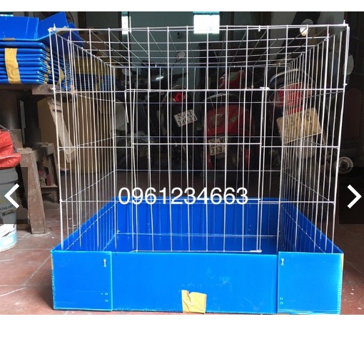 Lồng gà ghép ( bu úp gà) gà chọi , gà tre 80x80x80 kèm khay nhựa