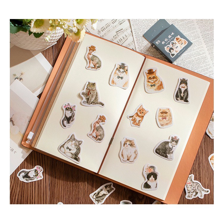 Bộ sticker/ Hình dán Hoạ Tiết Hình Bé Mèo Quý Tộc (45 Hình)