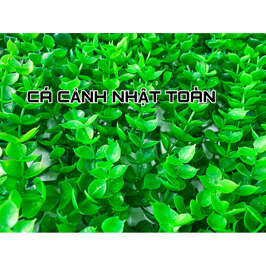 THẢM CỎ CHÂU NHÂN TẠO TRANG TRÍ BỂ CÁ, TIỂU CẢNH 60X40CM