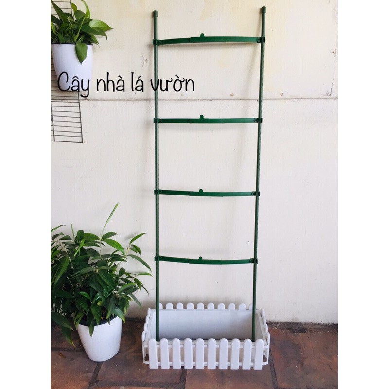Bộ khung cho dây leo 120cm *30cm