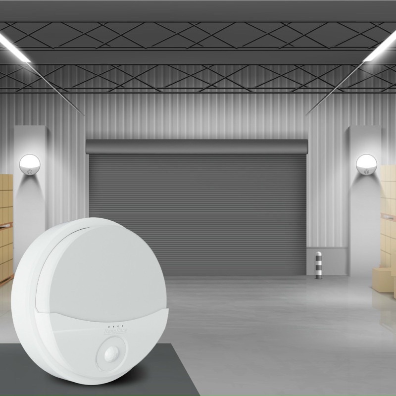 Đèn LED gắn tường cảm biến Rạng Đông