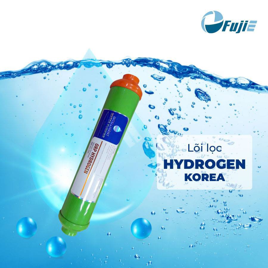 Lõi Lọc Nước RO FujiE Hydrogen Số 10