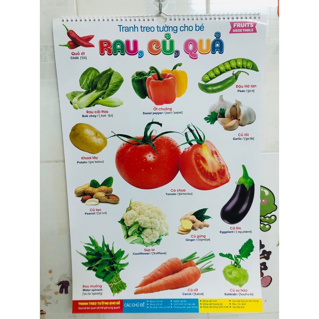 Tranh treo tường cho bé làm quen với động vật trái cây rau củ chữ cái và thế giới xung quanh