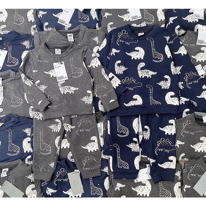 Set 2 bộ nỉ cotton hoạ tiết khủng long xanh-xám