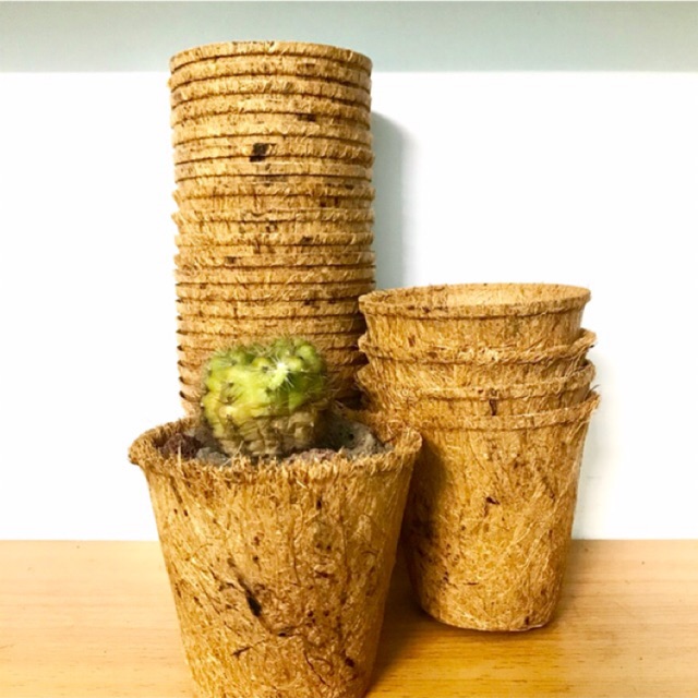 Chậu xơ dừa tròn trung AN1002 - Coir pot (Cao 8cm x Miệng 8,5cm x Đáy 5,5cm)