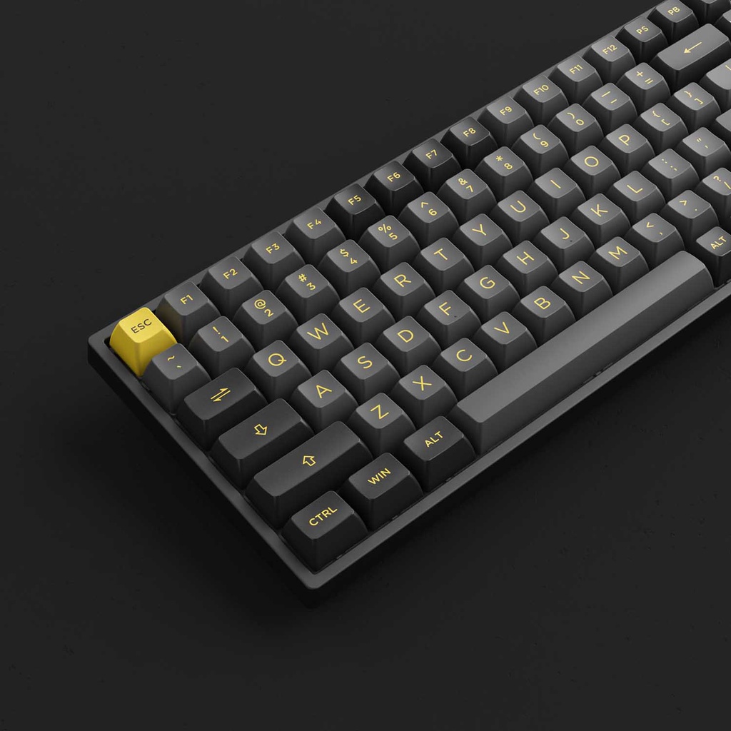 Bàn phím cơ AKKO 3084B Plus Black &amp; Gold (Bluetooth 5.0 / Wireless 2.4Ghz / Hotswap / Foam tiêu âm / AKKO CS Jelly sw)