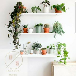 FREE SHIP- KỆ TREO TƯỜNG RỘNG 25cm, kèm phụ kiện