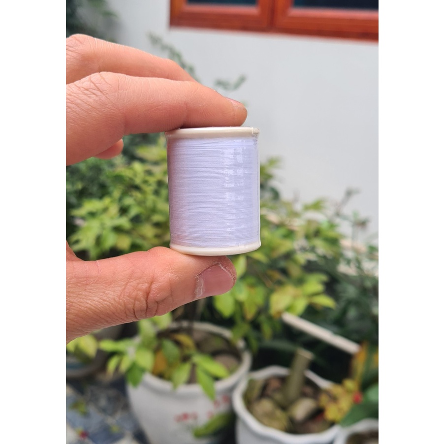 CHỈ GÀ TRỌI, XUẤT XỨ THÁI LAN.