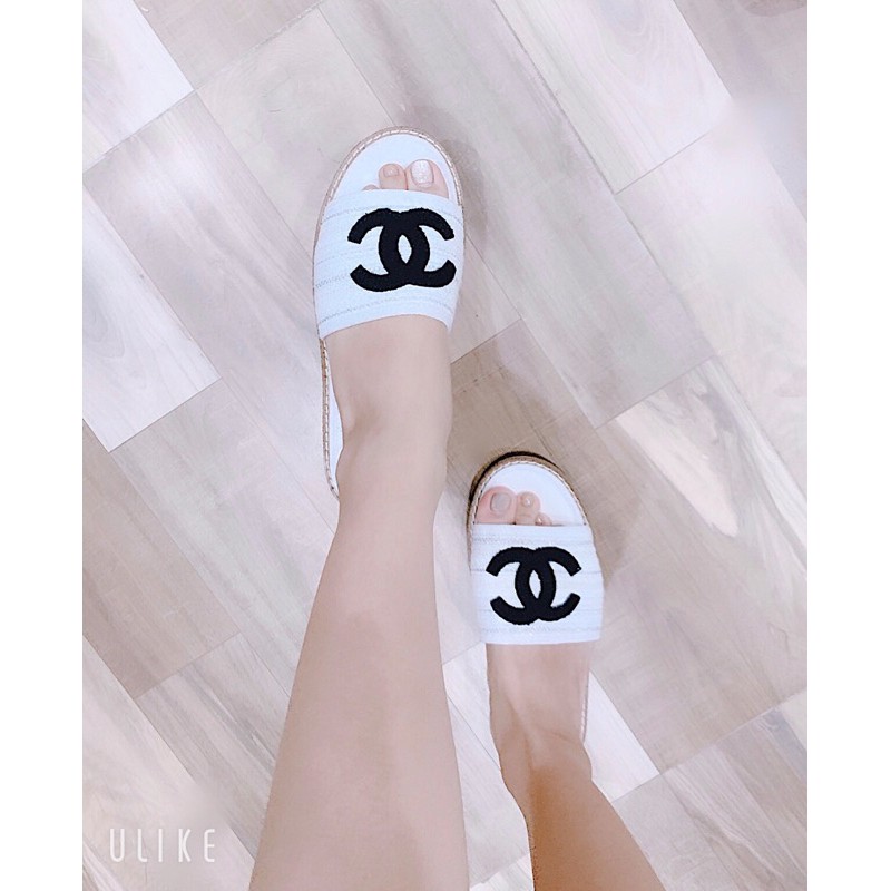 Chà-neo dạ trắng