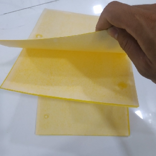 10 Miếng Bẫy Côn Trùng, Ruồi Vàng