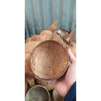 [Combo] - Chén / Bát gáo dừa + Muỗng gỗ dừa chuẩn Bến Tre