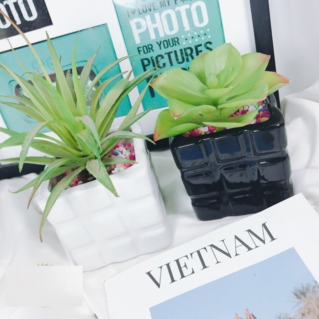 Chậu sứ nhỏ trồng cây xương rồng hoặc cắm cây hoa giả mini trang trí nhà cửa