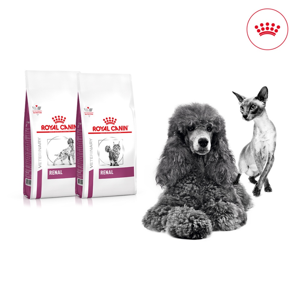 ROYAL CANIN RENAL CAT - HỖ TRỢ CHỨC NĂNG THẬN CHO MÈO, túi 400g