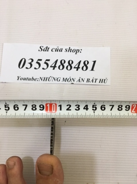 Nhông đĩa cam chế lò quay thịt tự động