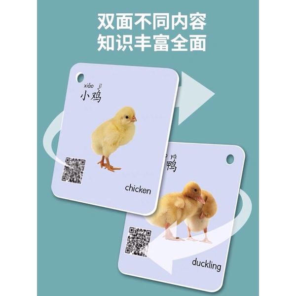 Thẻ Tiếng Trung Thẻ Động Vật Flash Card Tiếng Trung Cho Bé