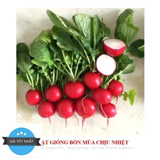 Gói 30 hạt CỦ CẢI ĐỎ MINI