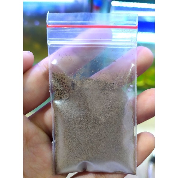 Trứng Artemia Mỹ/Thái Lan/ Trung Quốc - túi 5gr