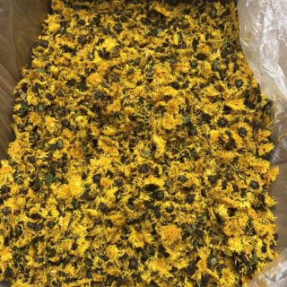 1KG TRÀ HOA CÚC VÀNG