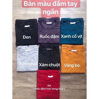 VÁY BODY THUN GÂN CỔ TRÒN + CỔ TIM