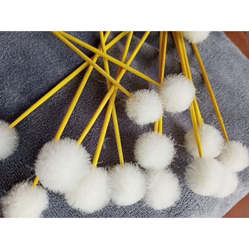 Bông ngoáy tai DẠNG CÂY XE