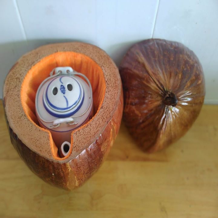 Bình giữ nhiệt ấm trà trái dừa và bình trà