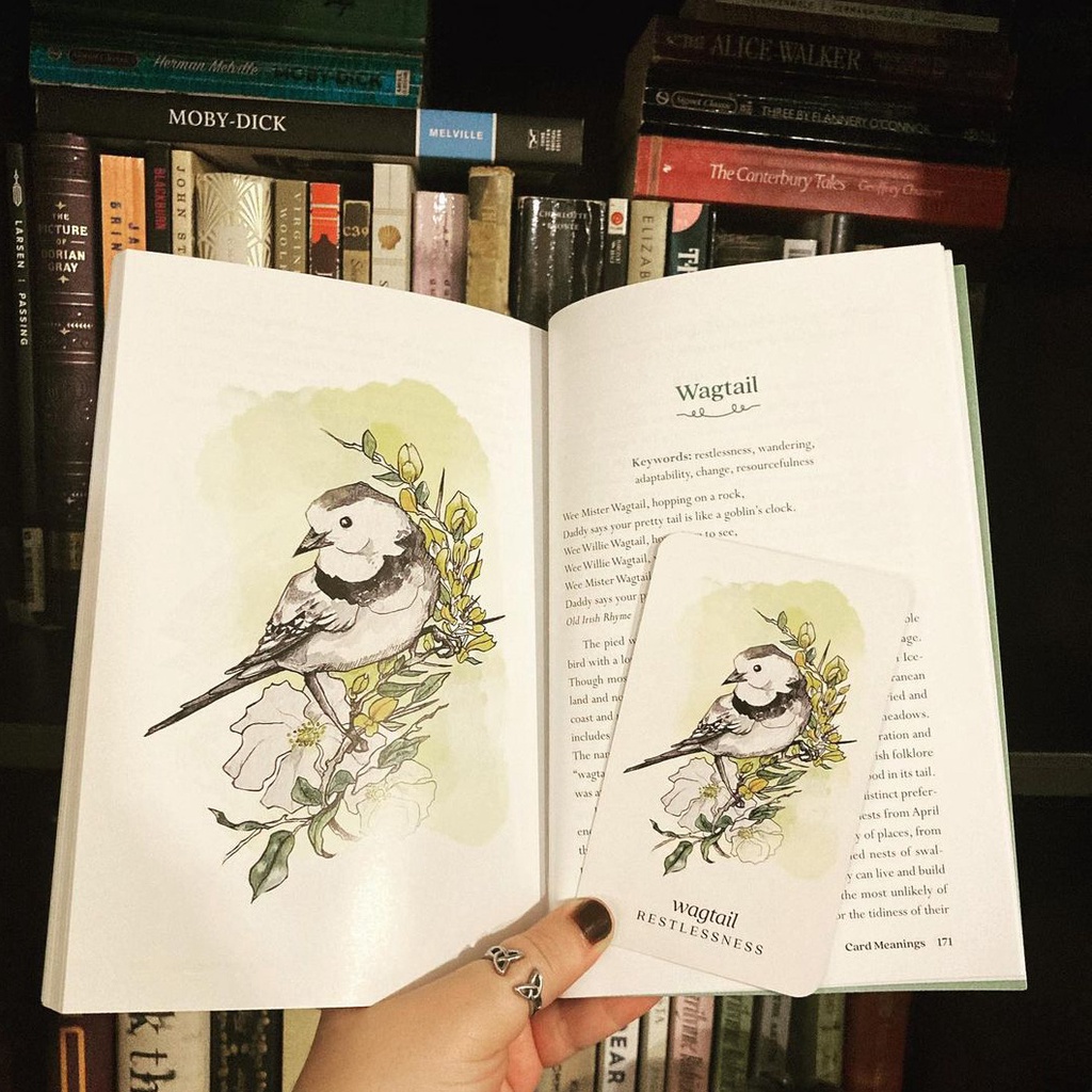 Bộ Bài Winterseer Animal Oracle (Mystic House Tarot) - Bài Gốc Authentic Chính Hãng 100%