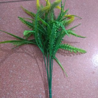 cành điểm chồn