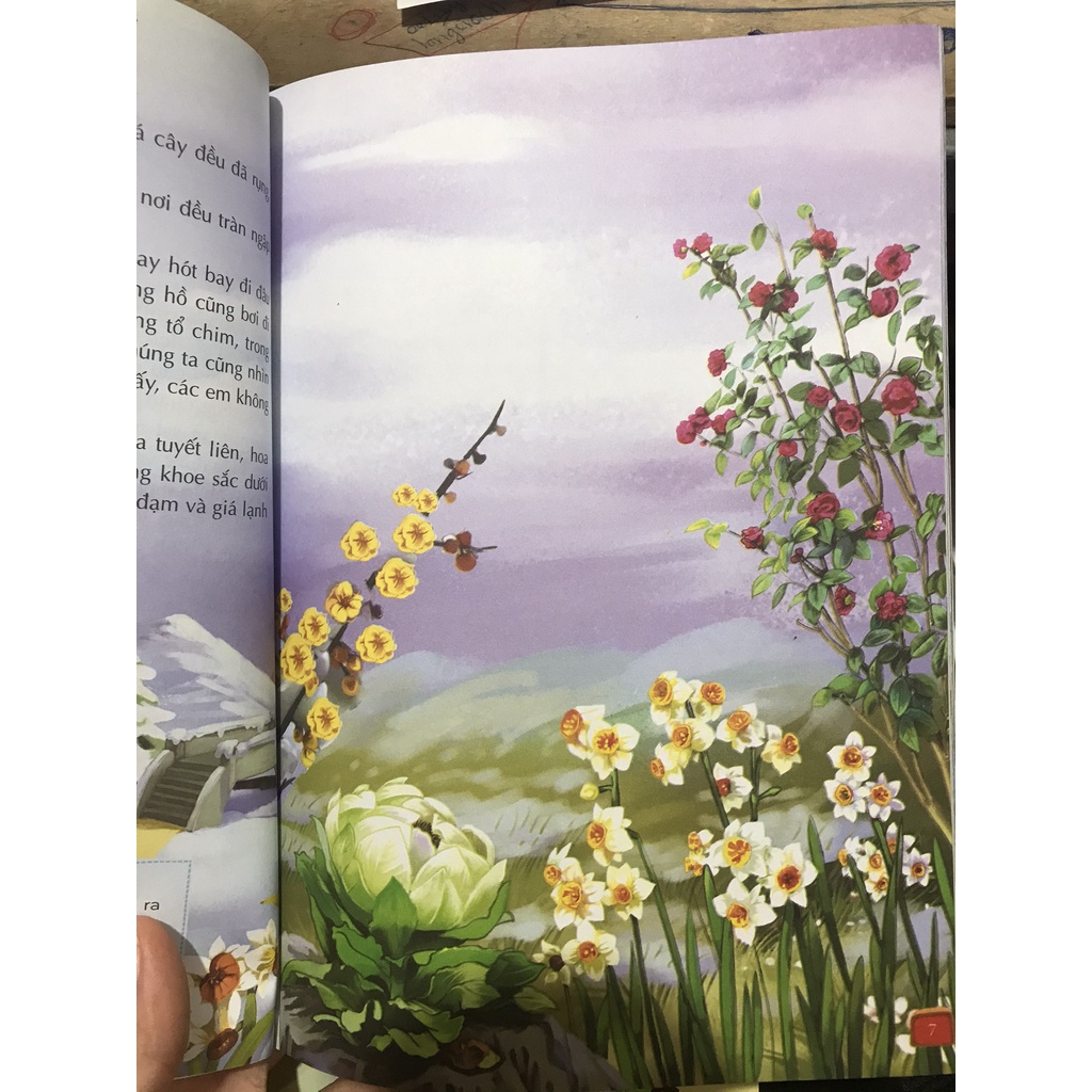 Sách Câu chuyện của thiên nhiên : vạn vật ngủ say ( Đinh Tị )