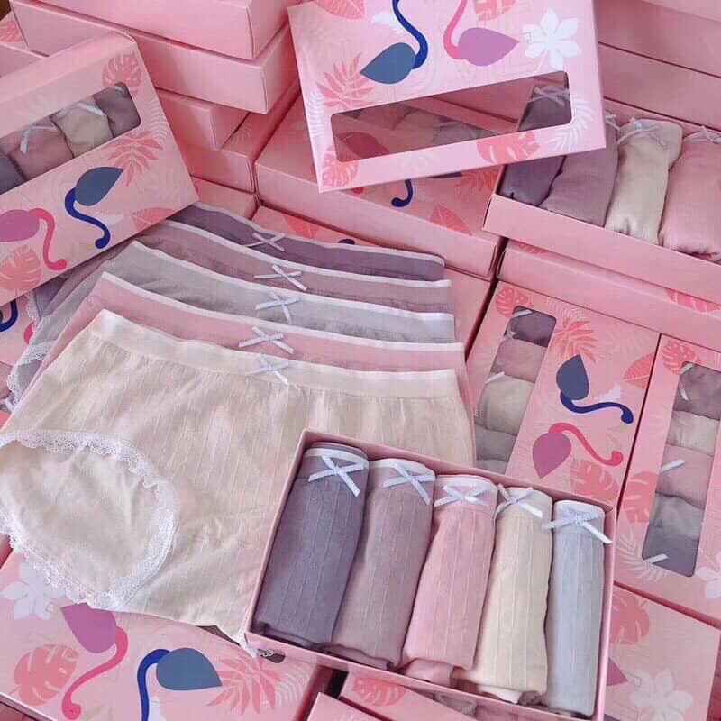 Combo 5 quần lót cotton thiên nga đính nơ, co giãn 4 chiều khánh khuẩn