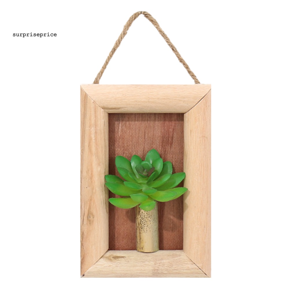 Chậu cây sen đá nhân tạo treo tường thiết kế dễ thương