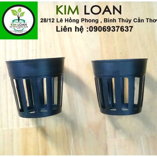 Combo 100 chậu cấy mô đường kính 4cm