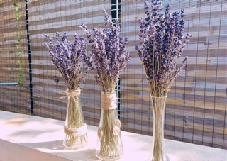 Hộp hoa Lavender Paris
