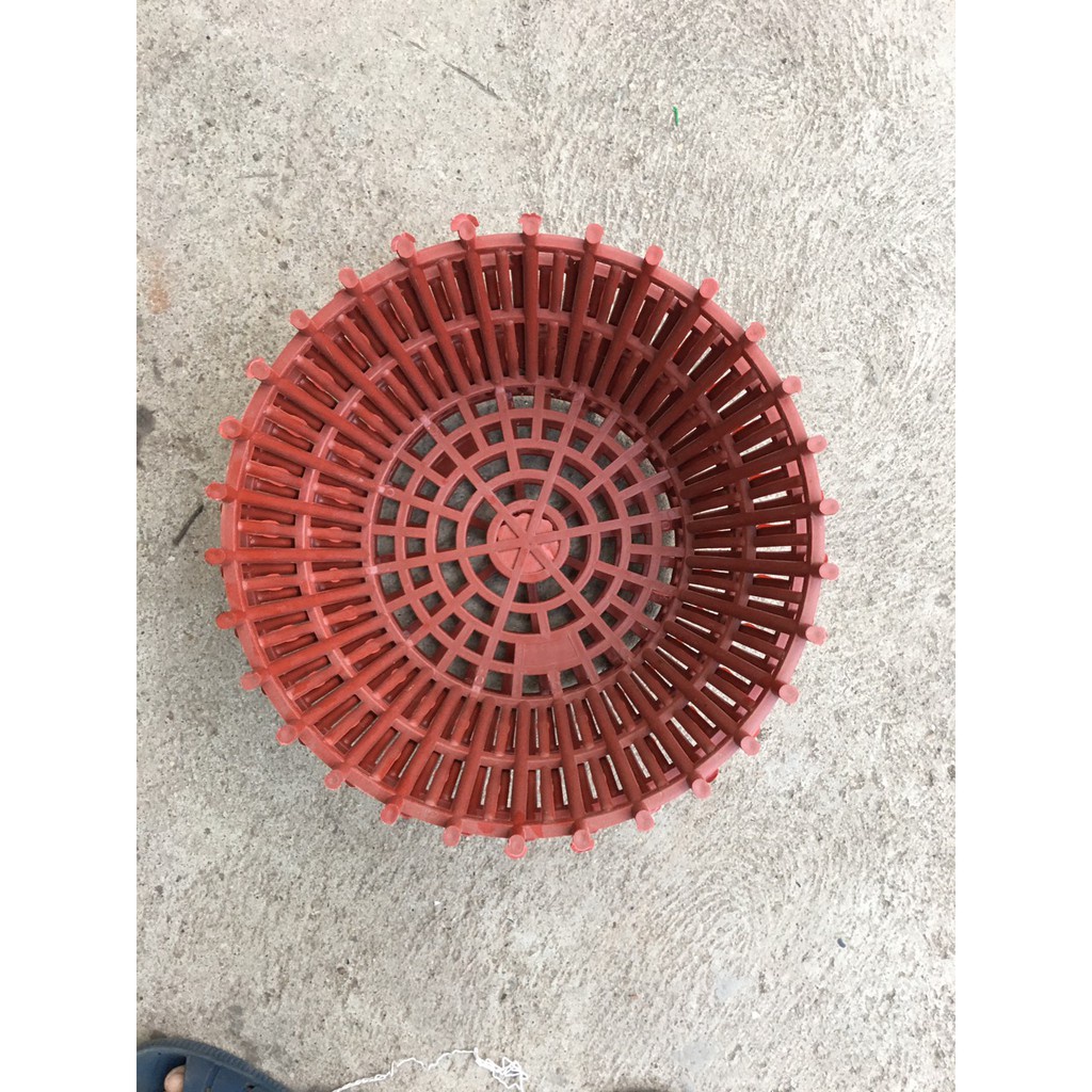 ( HOT ) set 10 Chậu nhựa giả gỗ trồng lan phi 35  đẹp, chắc, bền