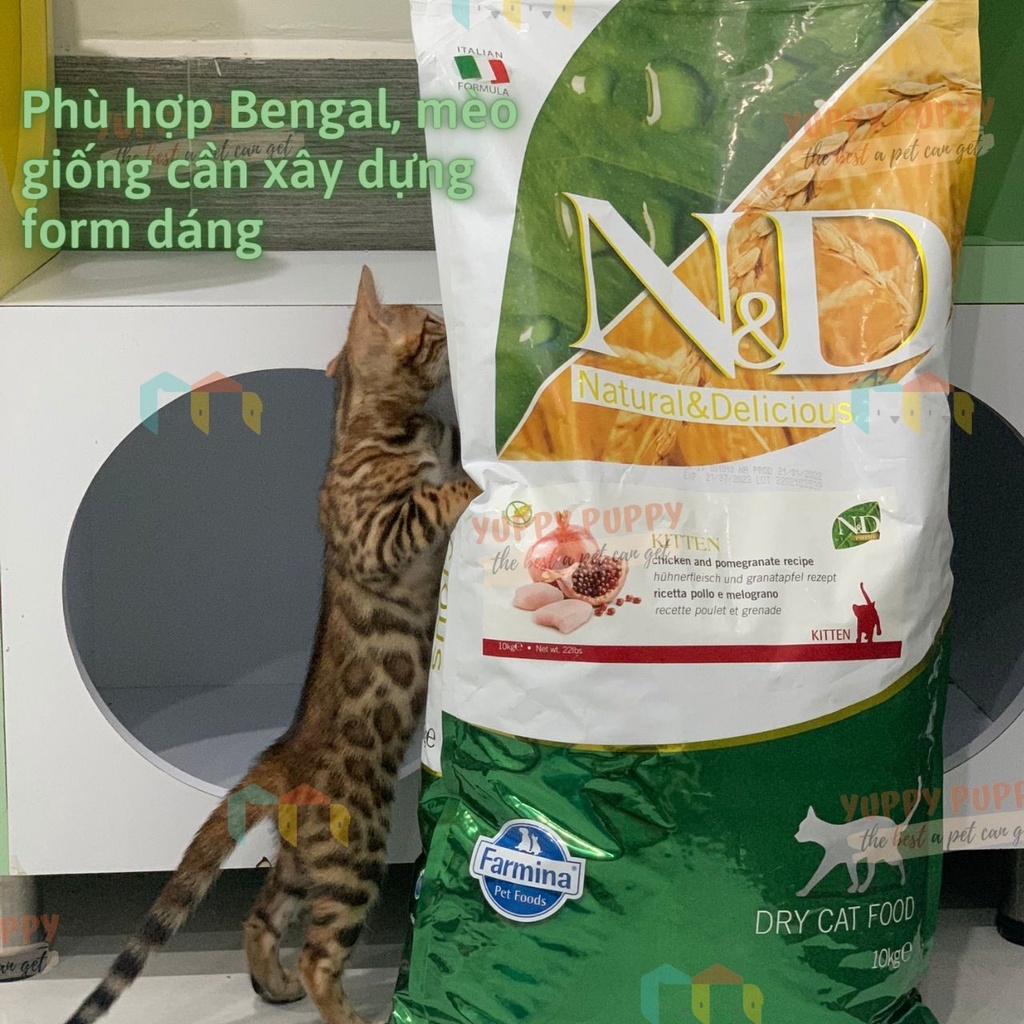 Farmina  hạt PRIME ANCESTRAL MATISSE Cá hồi & cá ngừ cho mèo trưởng thành & mèo con