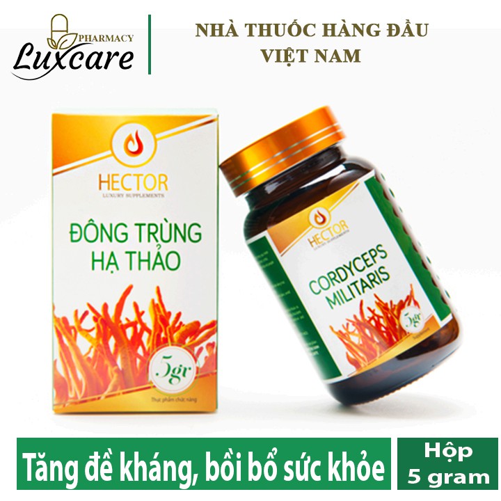 Hector NẤM ĐÔNG TRÙNG HẠ THẢO Sợi Sấy Thăng Hoa (Lọ 5gr)