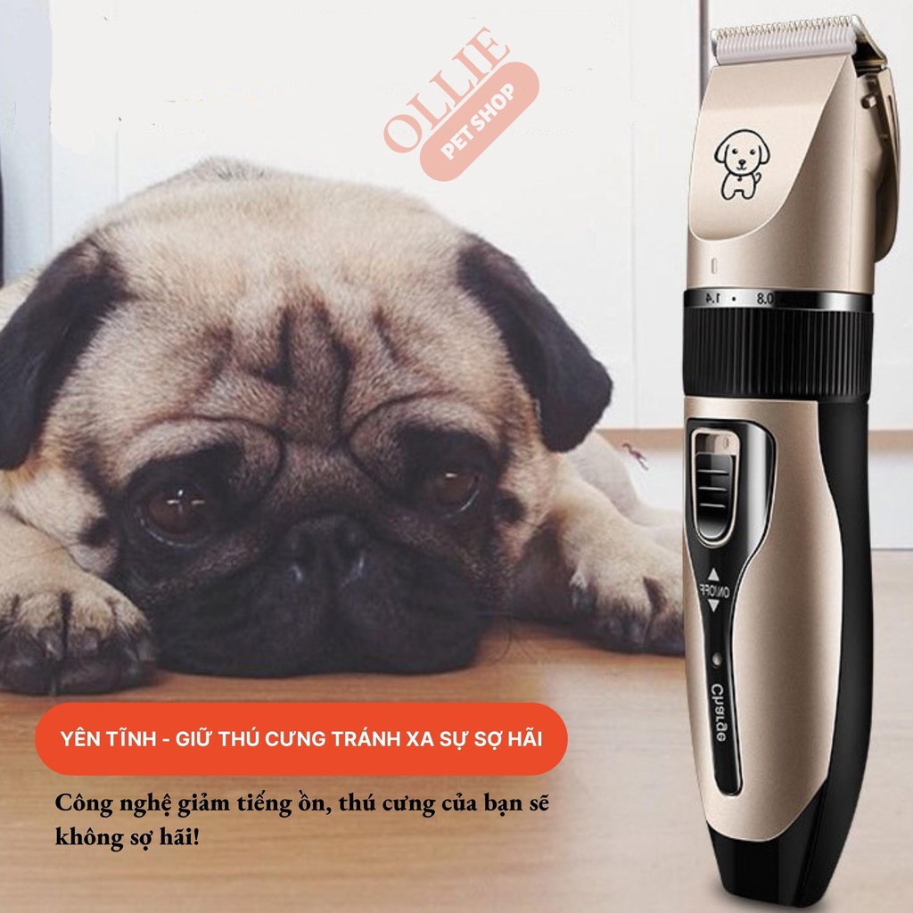 Tông đơ cạo lông chó mèo 5 chế độ tinh chỉnh Chaooer full phụ kiện - Máy cắt tỉa lông thú cưng