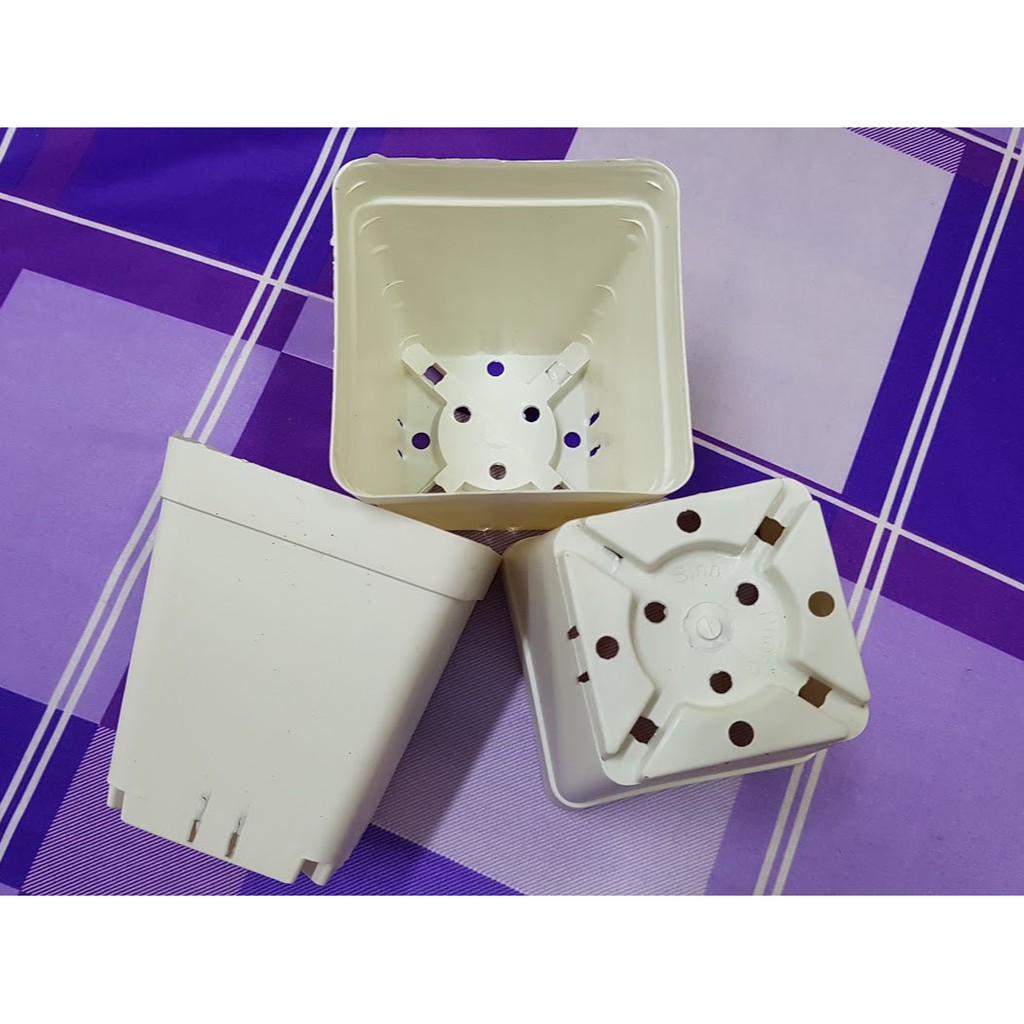 Chậu vuông 9x9 trắng .