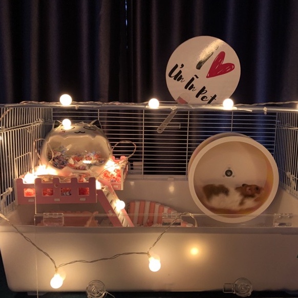 Đèn led trang trí chuồng hamster dây 10 bóng tròn 1,5m dùng USB hoặc pin con thỏ