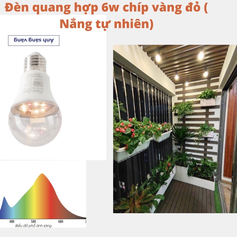 Đèn quang hợp cho cây trồng trong nhà  - LED công suất 6W đủ phổ thay ánh sáng mặt trời