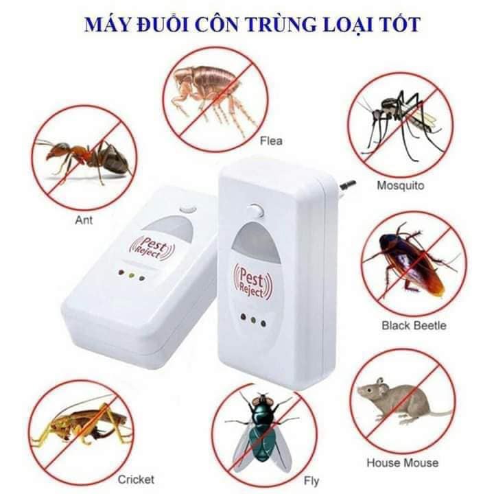 Máy Đuổi Chuột, Gián, Muỗi Và Côn Trùng Pest RepMeller