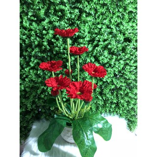 HOA GIẢ-hoa trang trí 🍅FREESHIP🍅Giảm 10K Khi Nhập [PHUOM10K] hoa đồng tiền