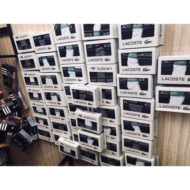 Sịp Đùi Lacoste