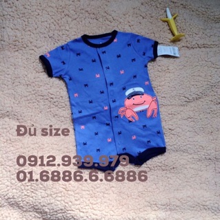 Body hàng carters