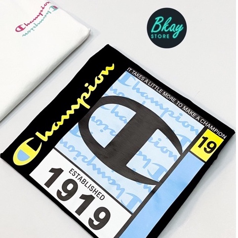 Áo thun Champion Retro Colorblock- 100% Authentic