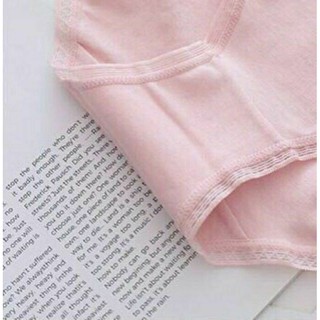 Quần Lót Cotton Cạp Lưới Cao Cấp